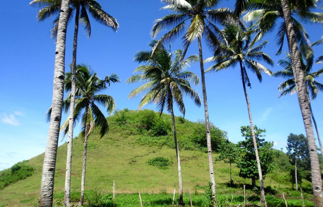 Bohol Sweet Home Bed And Breakfast Guindulman Exterior foto